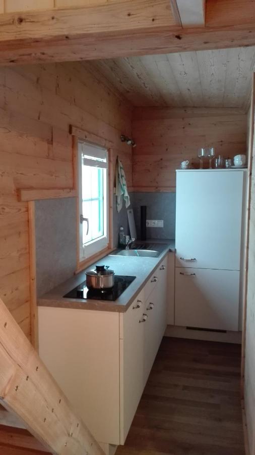 アプテナウTinyhouse Postalmアパートメント エクステリア 写真